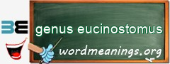 WordMeaning blackboard for genus eucinostomus